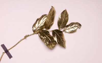 Meine goldene Vision – Wie ich das Gold in mir gefunden habe