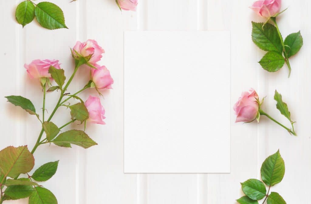 Alles für deinen grandiosen Finanz-Start in 2020