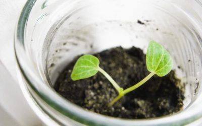 Erstes Geld anlegen – Der ultimative Anfänger Guide